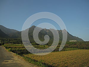 Fields in Japanese countryside photo