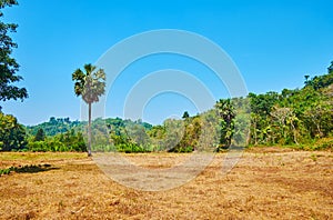 Fields among the jungle, Chaung Tha, Myanmar