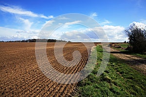 Fields in Le Nord photo