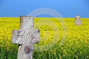 Stone cross in rapeseed field,ialomita-romania photo