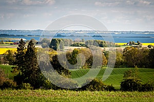 Fields with living fences beside a fjord