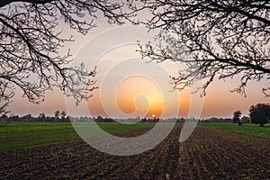 Fields in Masovia region photo