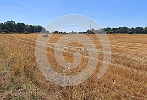 Fields and meadows around Camer countryside photo