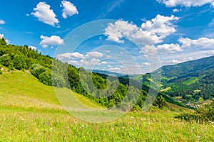 fields and meadows of rural landscape in summer.