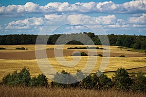 Fields and meadows of Scania, Sweden photo