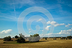 Fields and meadows of Scania, Sweden photo