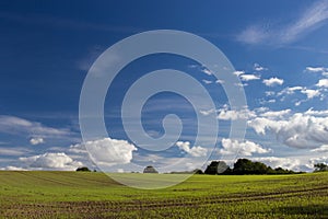 Fields and meadows of the Sjelland, Denmark