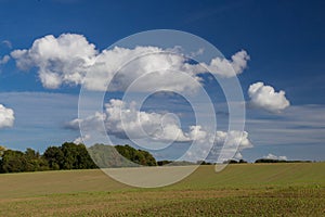 Fields and meadows of the Sjelland, Denmark