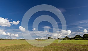 Fields and meadows of the Sjelland, Denmark