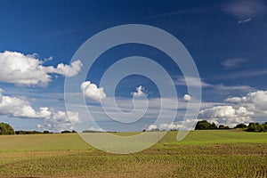 Fields and meadows of the Sjelland, Denmark