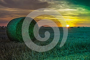 Fields and meadows during sunset