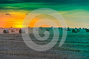 Fields and meadows during sunset