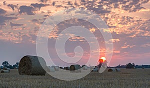 Fields and meadows during sunset