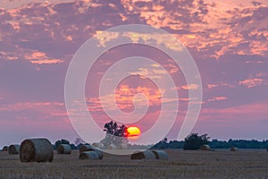 Fields and meadows during sunset