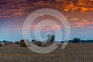 Fields and meadows during sunset