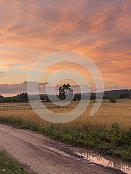 Fields and meadows at sunset