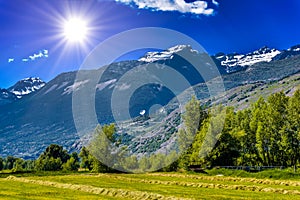 Fields and meadows with Swiss Alps mountains, Agarn, Leuk, Visp