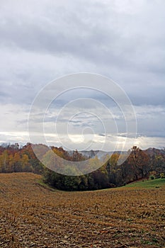 Fields, meadows, vegetation and  forests by autumn, countryside near Zagreb, Croatia