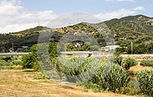 Fields of Montcada