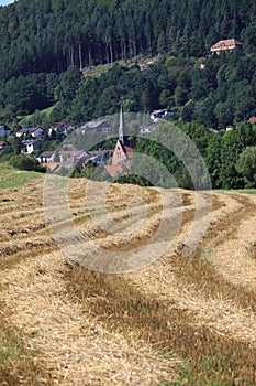 Grano campo montagne da germania 