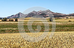 Fields in the mountains of Soria