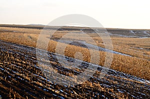 Fields on Mountains in Winter