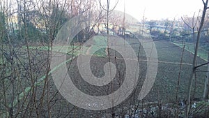 Fields in my city with tree