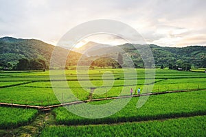 Fields in Nan, Thailand photo