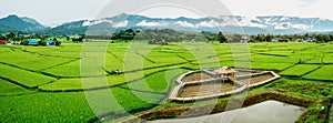 Fields in Nan, Thailand Panorama image