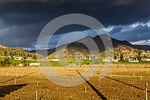 Fields near Constanza, Dominican Republ