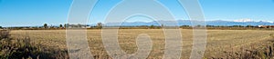 Fields in north Italy with the Alps in the background, province of Novara