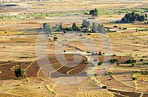 Fields and plots in the semi-desert plain photo