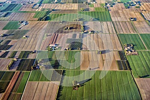 Fields of Po Valley - aerial view in evening light