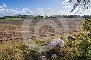 Fields in Poland