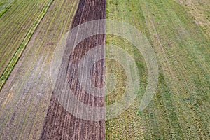 Fields in Poland