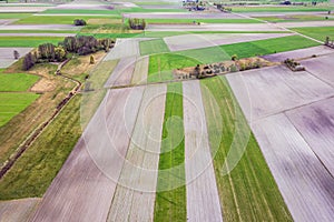 Fields in Poland, Masovia region photo