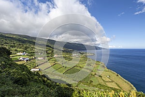 Fields in Ponta da Queimada