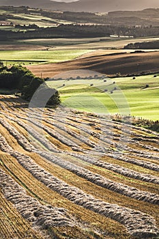 Fields from Queens view in Scotland.