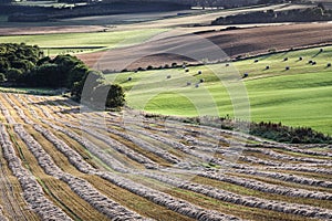 Fields from Queens view in Scotland.