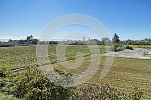 Fields and rice fields in north Italy. Borgo Vercelli, Piedmont region