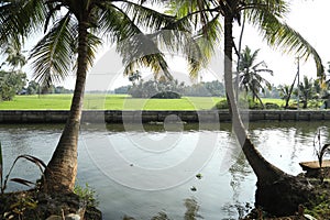 Fields an river Kerala India