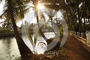 Fields an river Kerala India