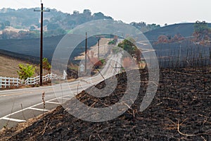 Fields Scorched by Wildfire Northern California