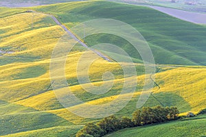 Fields with shadings in the morning light