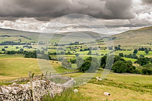 Fields and sheep on farm land in a valley with rain clouds