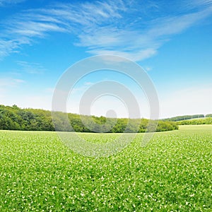 Fields and sky