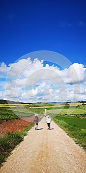 Fields and Sky in Navarra, Spain