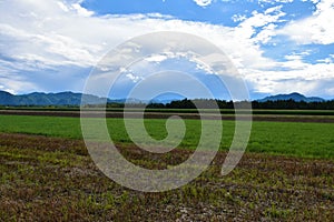 Fields at Sorsko Polje in Gorenjska, Slovenia