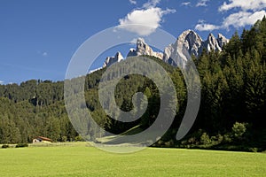 Fields of South Tirol