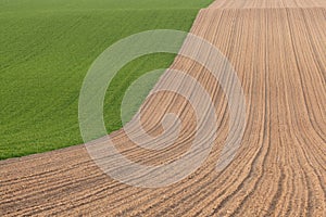 Fields in springtime photo